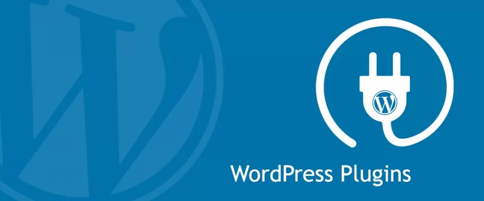 A Collection of Essential WordPress Plugins