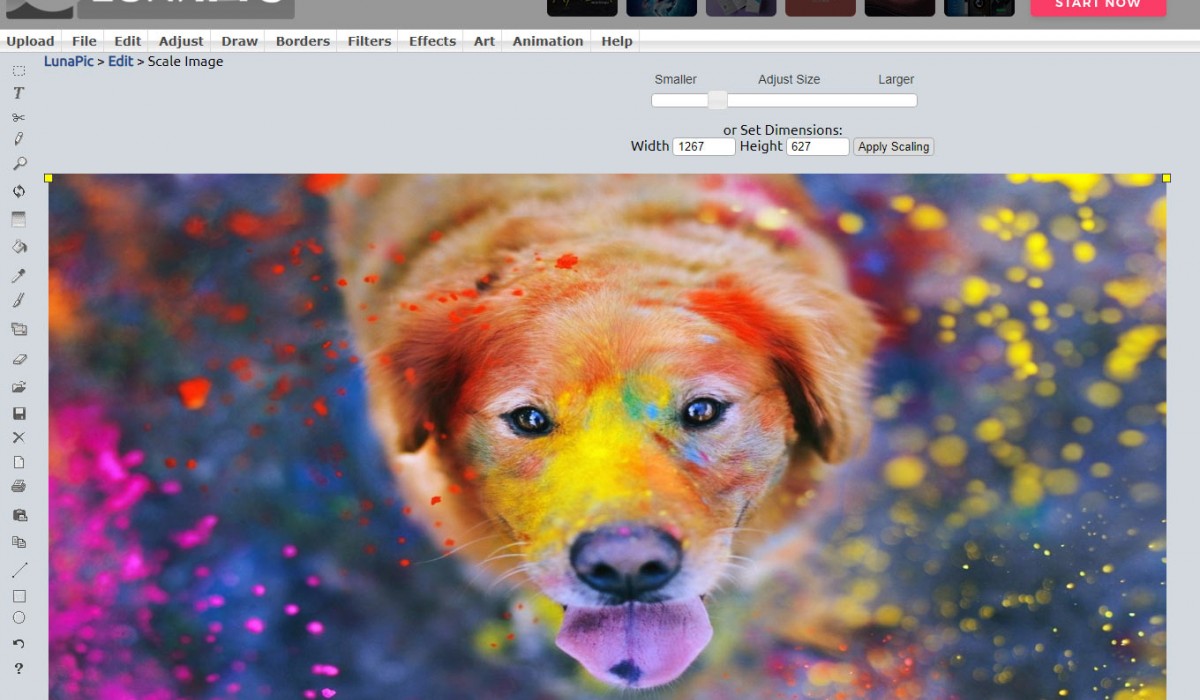 LunaPic, Free Online Photo Editor