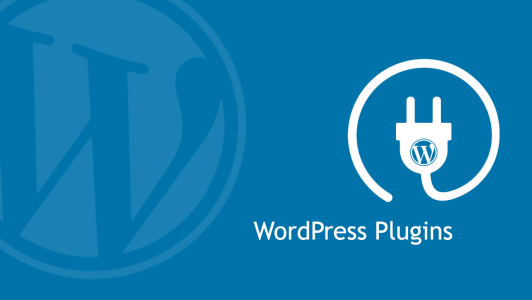 A Collection of Essential WordPress Plugins