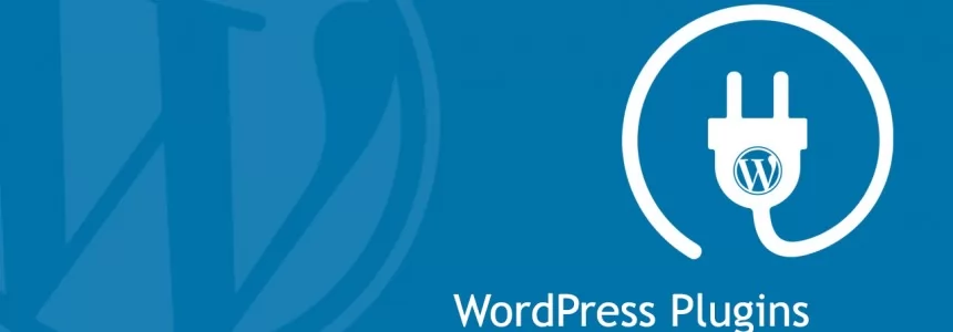 A Collection of Essential WordPress Plugins -   
