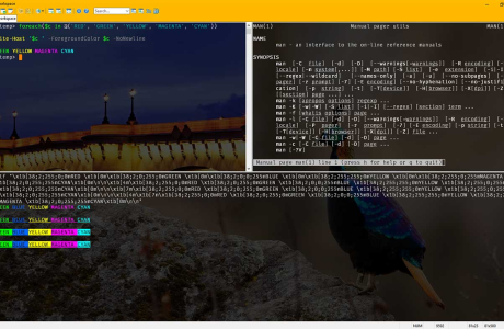 The Best Free SSH Tabbed Terminal Clients for Windows
