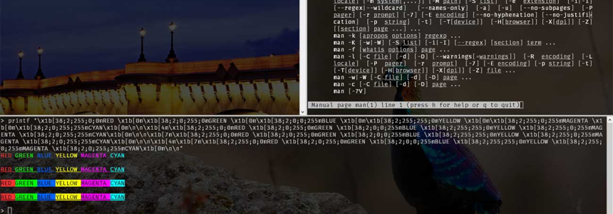 The Best Free SSH Tabbed Terminal Clients for Windows
