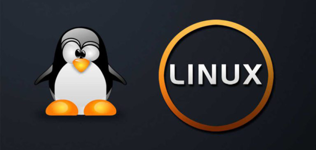 Display Linux TCP / UDP Network and Socket Information with the 'ss' command