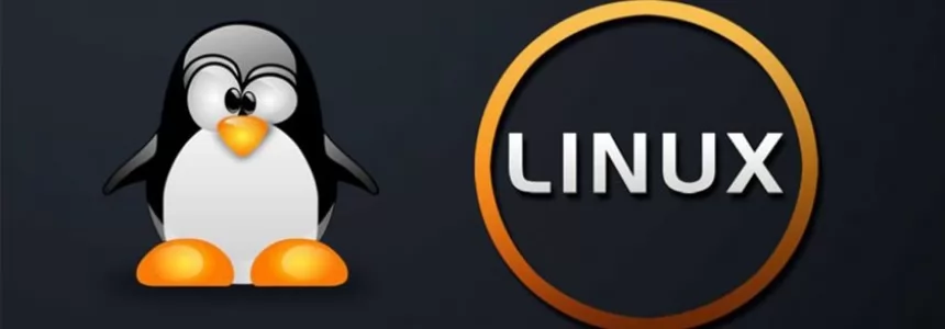 Display Linux TCP / UDP Network and Socket Information with the 'ss' command -   