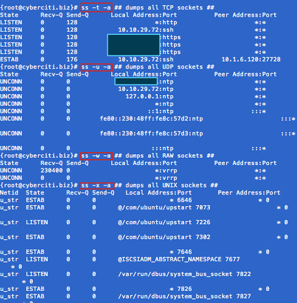 Fig.01: ss command in action