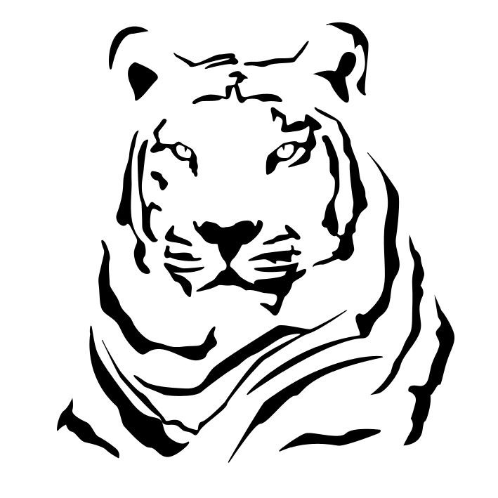 tiger design web