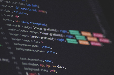 The  Truth About Building Your Own Website