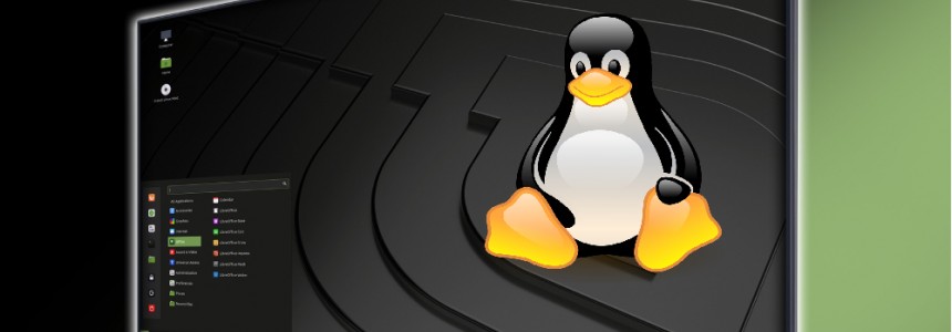 Linux for Dummies: Introduction
