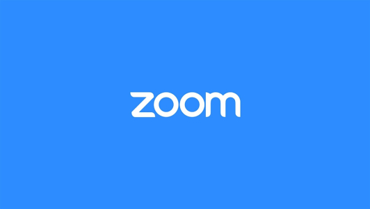 Perché (per adesso) non dobbiamo Usare Zoom