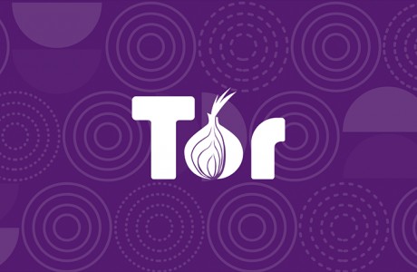 Tor browser по почте mega2web