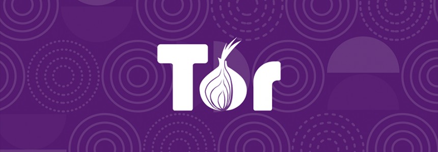How to get into the Deep Web: a guide to access TOR, ZeroNet, Freenet and I2P 