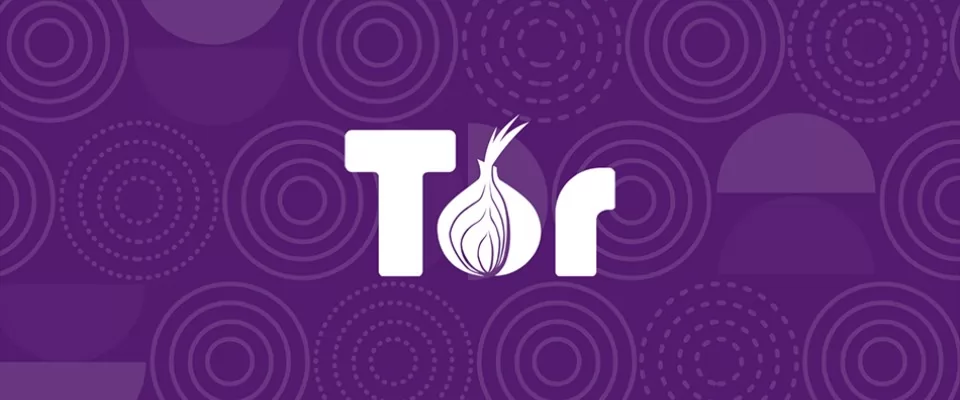 How to get into the Deep Web: a guide to access TOR, ZeroNet, Freenet and I2P 