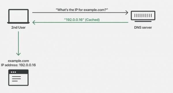 prevent DNS Attacks