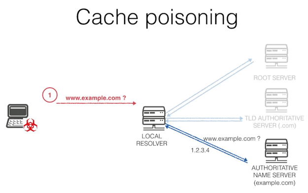 prevent DNS Attacks