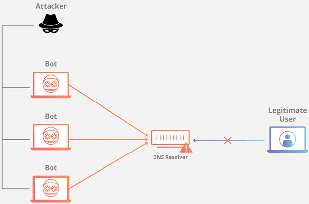 prevent DNS Attacks