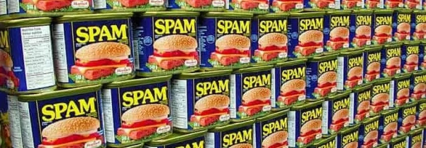 What is the origin of the word SPAM?