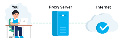 proxy navigation