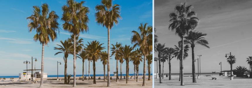 How To Add Filter Effects to Images with CSS -   