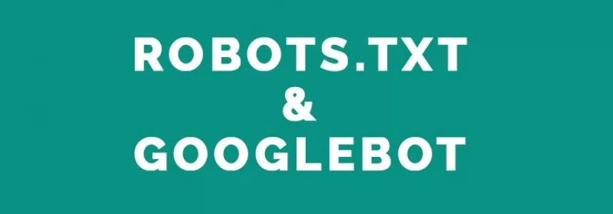 Optimizing the Robots.txt file for Google -   
