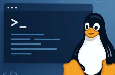 Linux: i comandi indispensabili che bisogna conoscere