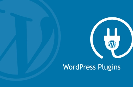 A Collection of Essential WordPress Plugins