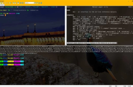 The Best Free SSH Tabbed Terminal Clients for Windows