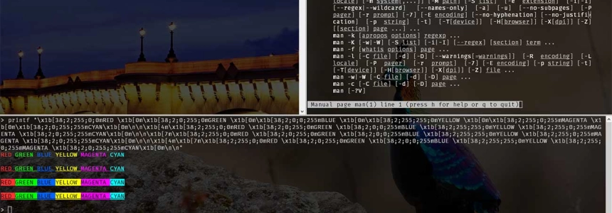 The Best Free SSH Tabbed Terminal Clients for Windows