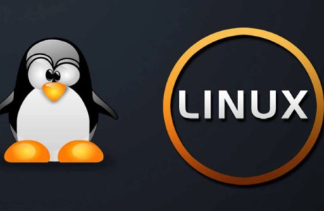 Display Linux TCP / UDP Network and Socket Information with the 'ss' command