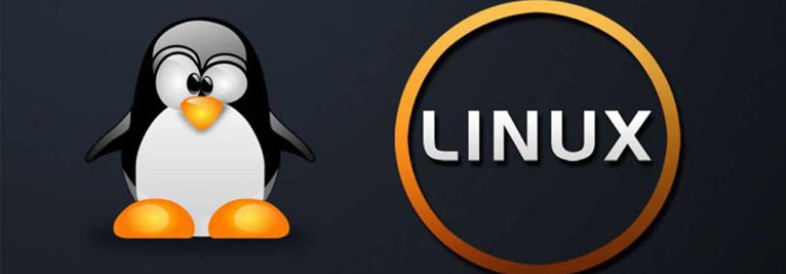 Display Linux TCP / UDP Network and Socket Information with the 'ss' command