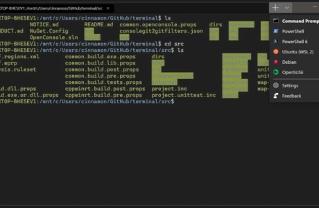 Now you can download the new Windows terminal: new, modern, fast, efficient, and powerful.