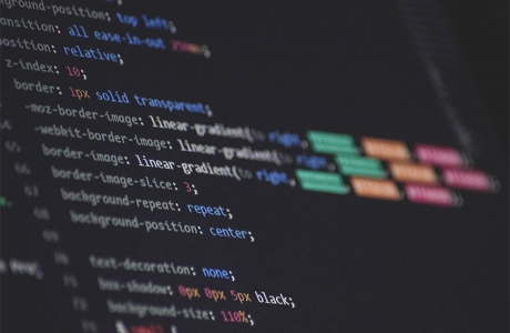 The  Truth About Building Your Own Website