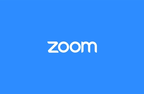 Perché (per adesso) non dobbiamo Usare Zoom