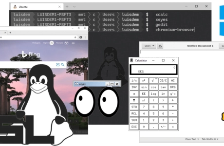 Las aplicaciones gráficas y la GUI de Linux llegan al sub-sistema de Windows para Linux