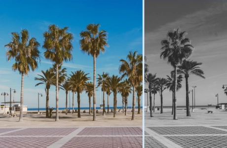 How To Add Filter Effects to Images with CSS