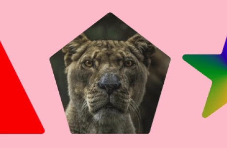 Explorando la API CSS Paint: Redondeo de formas parte 2