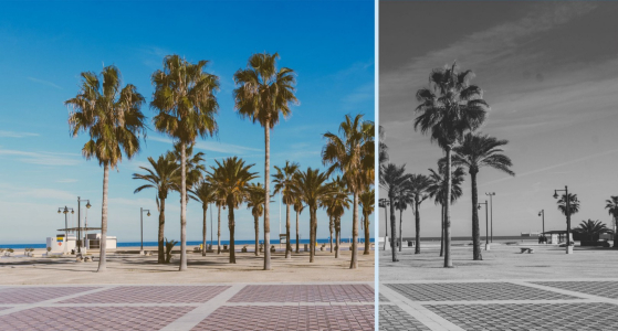 How To Add Filter Effects to Images with CSS